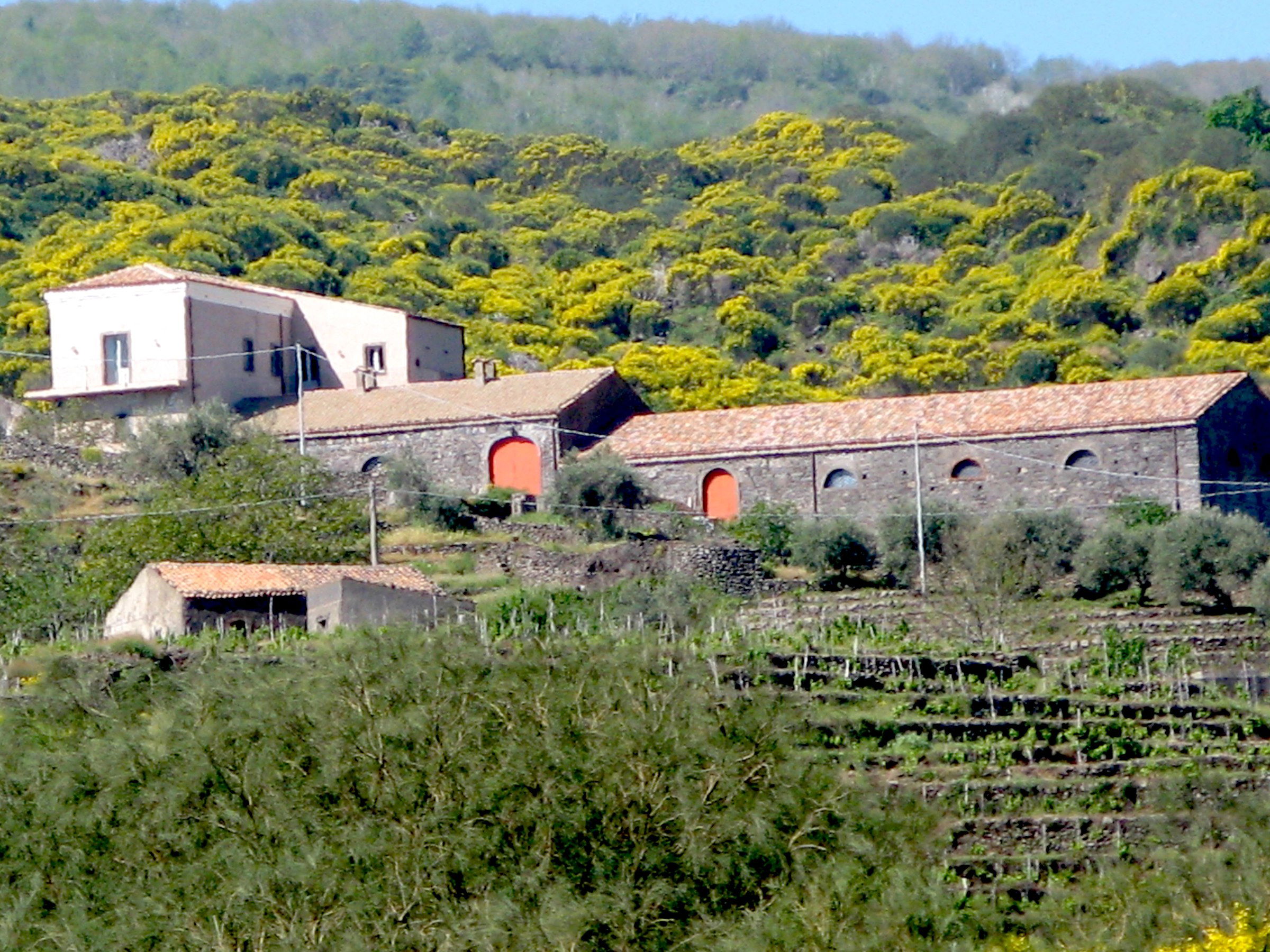 Vini Franchetti Passopisciaro, Winery in Passopisciaro