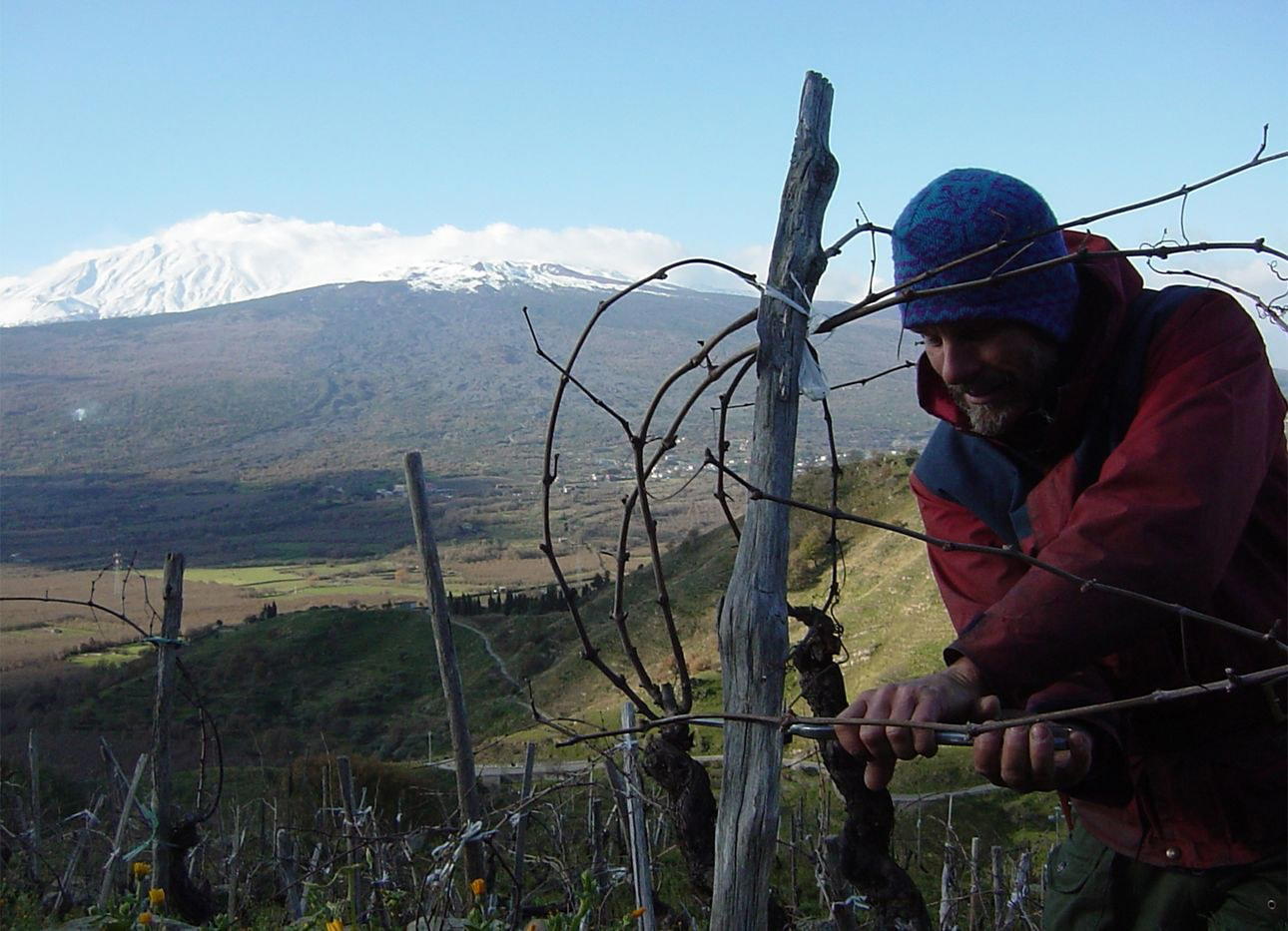 Frank Cornelissen winery in Passopisciaro