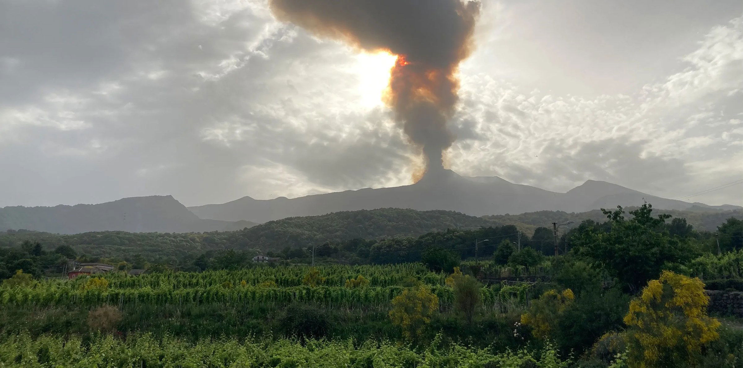 I Vigneri di Salvo Foti, Winery in Milo