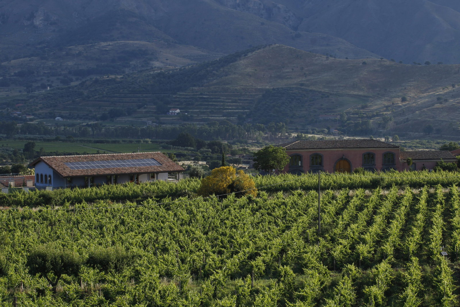 Tenuta delle Terre Nere, Randazzo, Italy