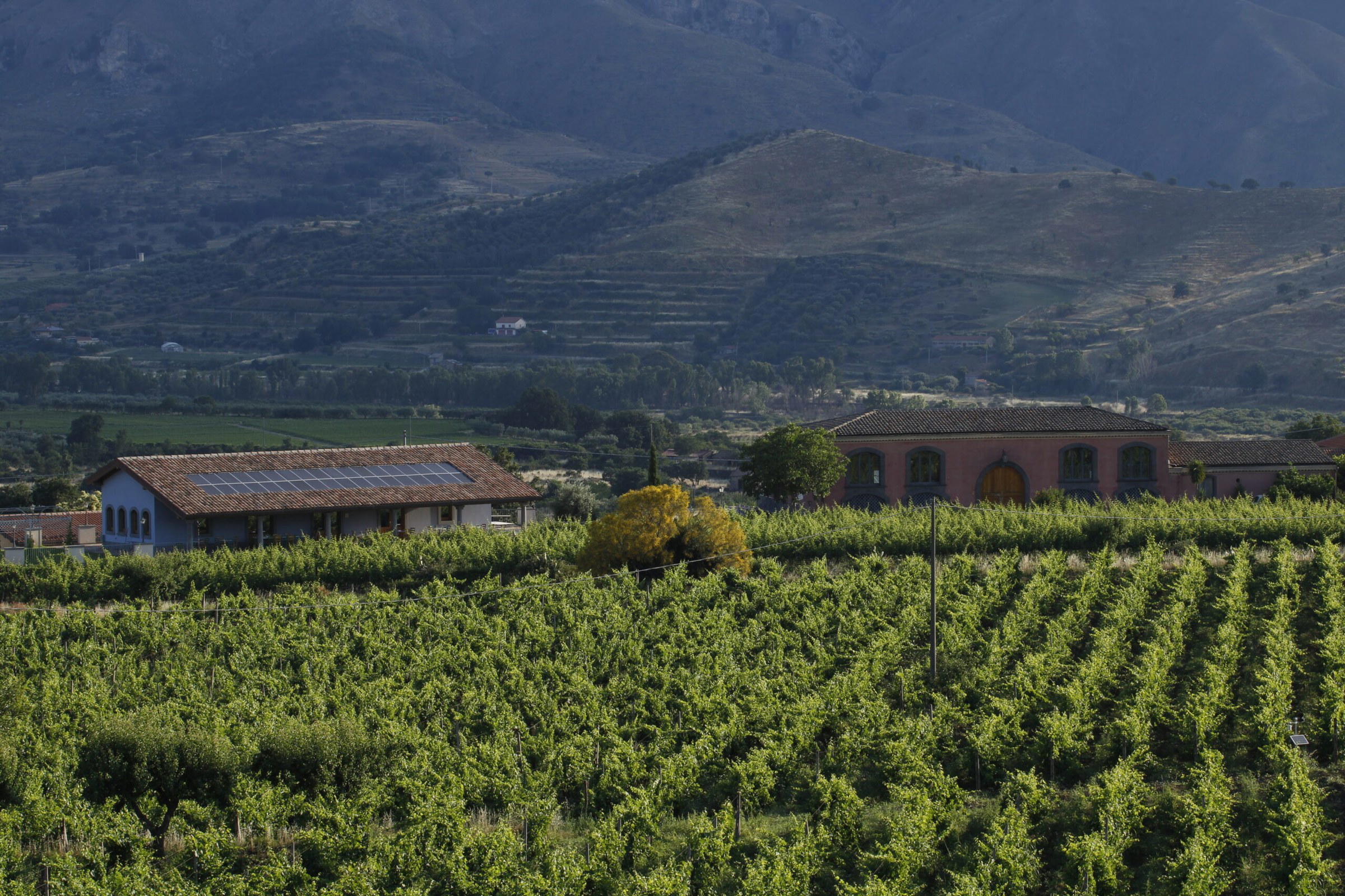 Tenuta delle Terre Nere winery in Randazzo