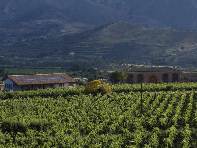 Tenuta delle Terre Nere, Randazzo, Italy