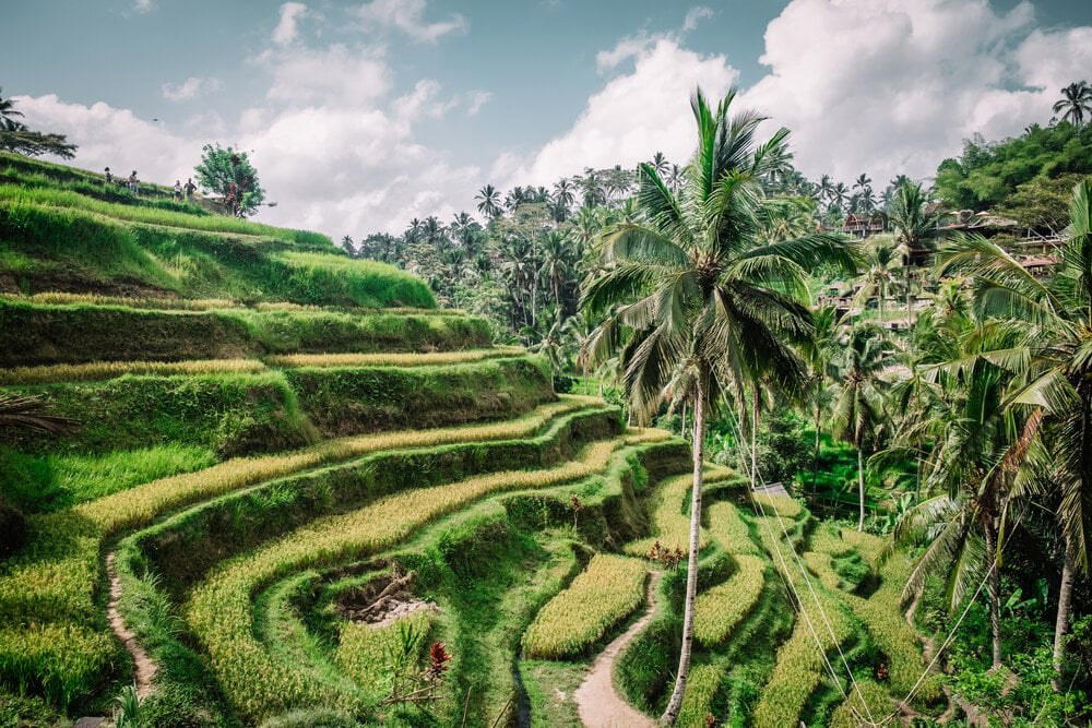 Badung Regency, Indonesia