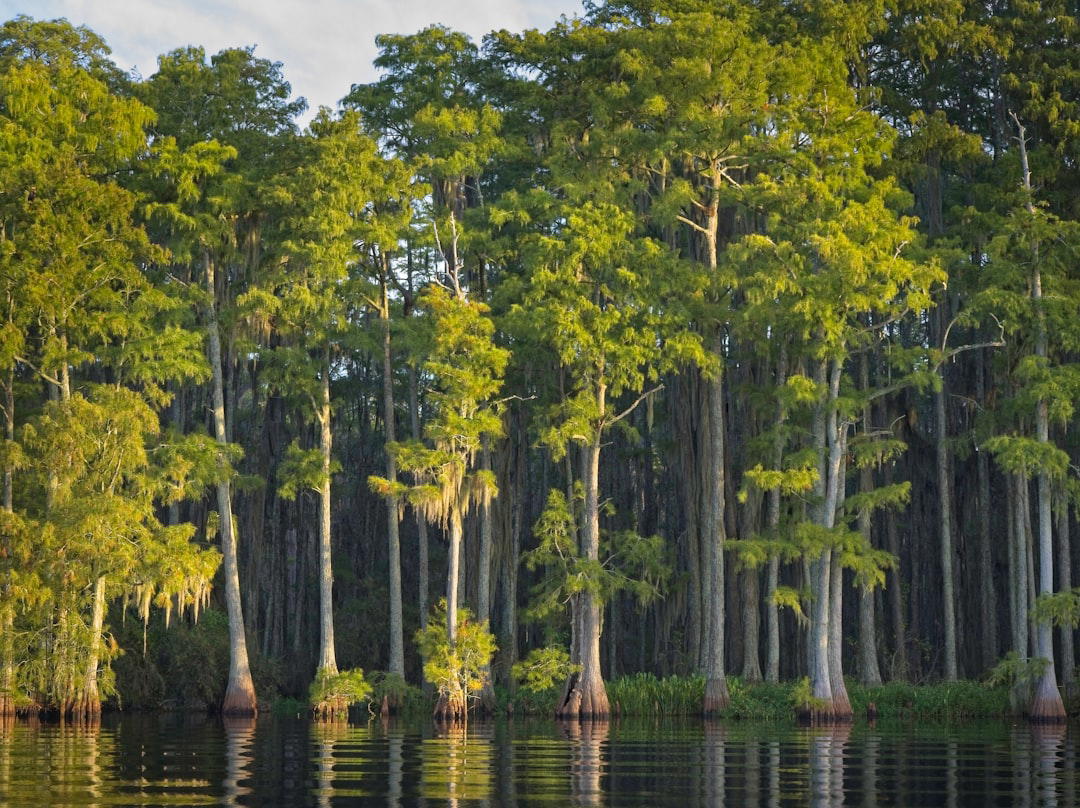 Bossier City, United States