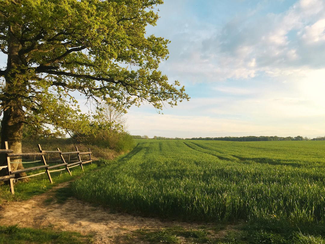 Lewes, United States