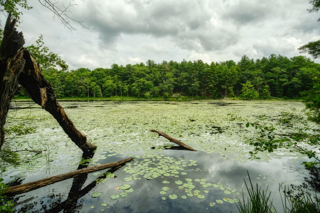 Egremont Berkshires, United States