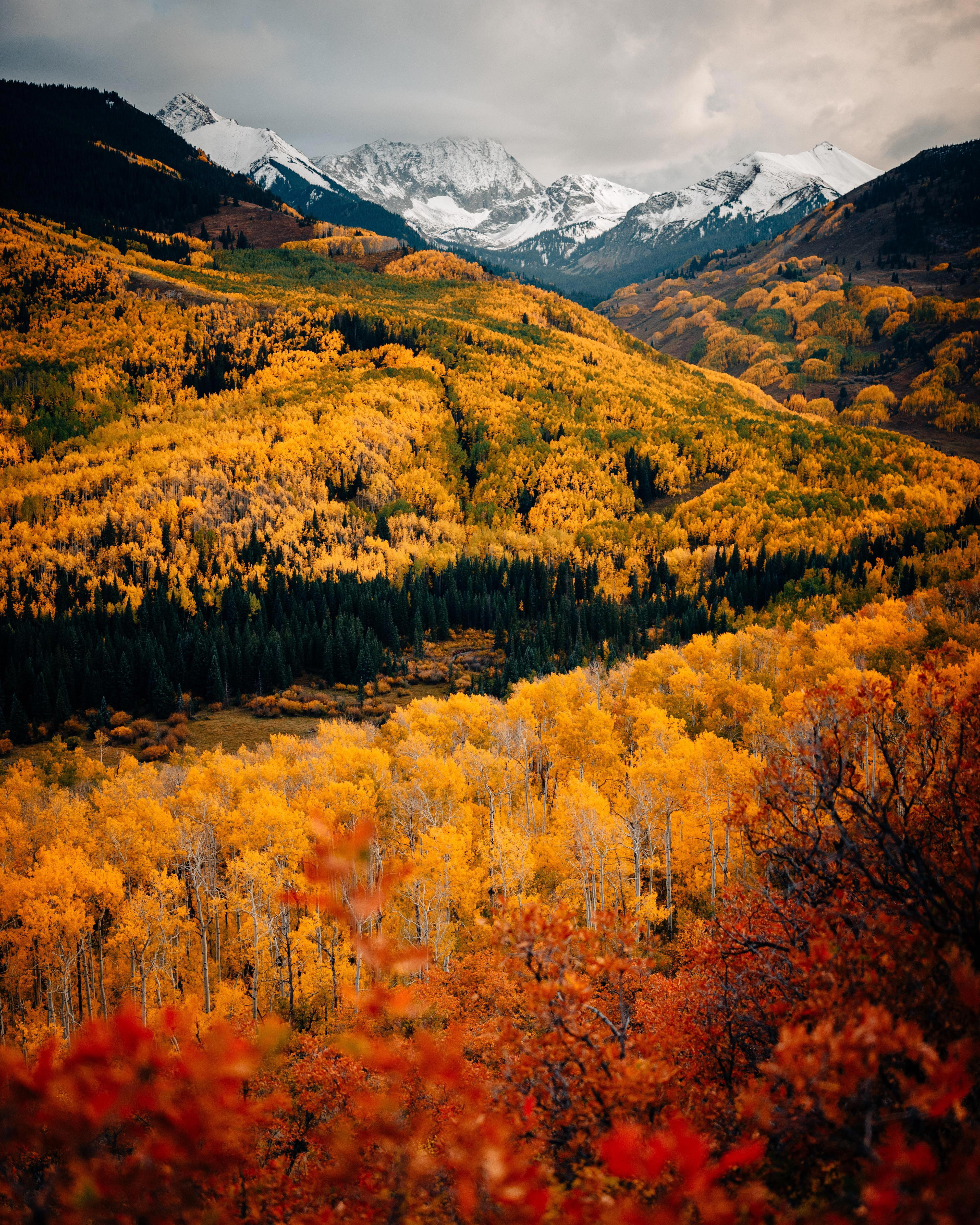 Colorado
