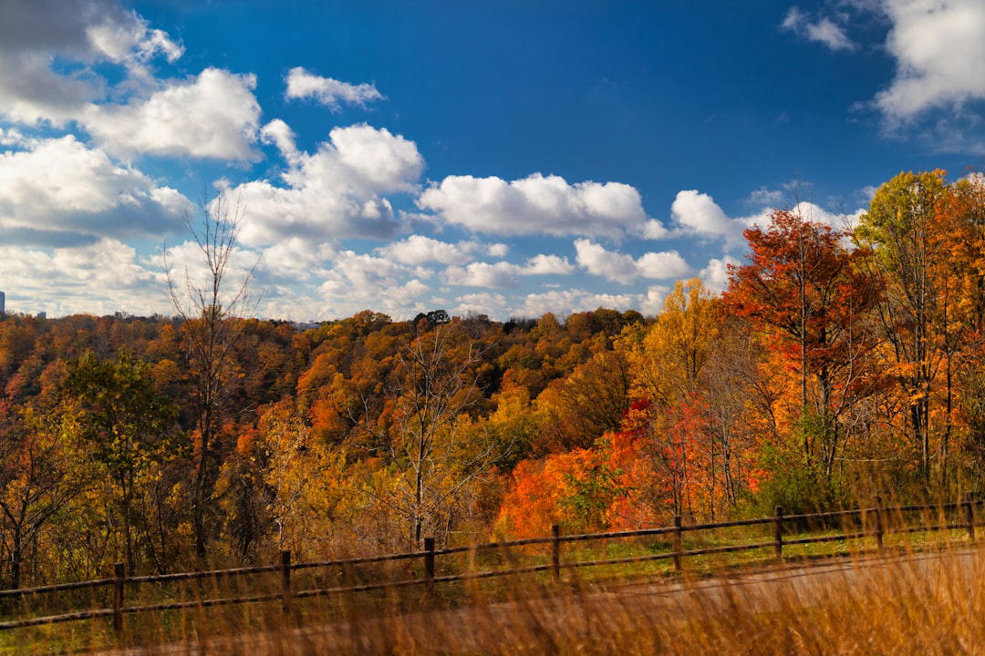 Ellicot City, United States