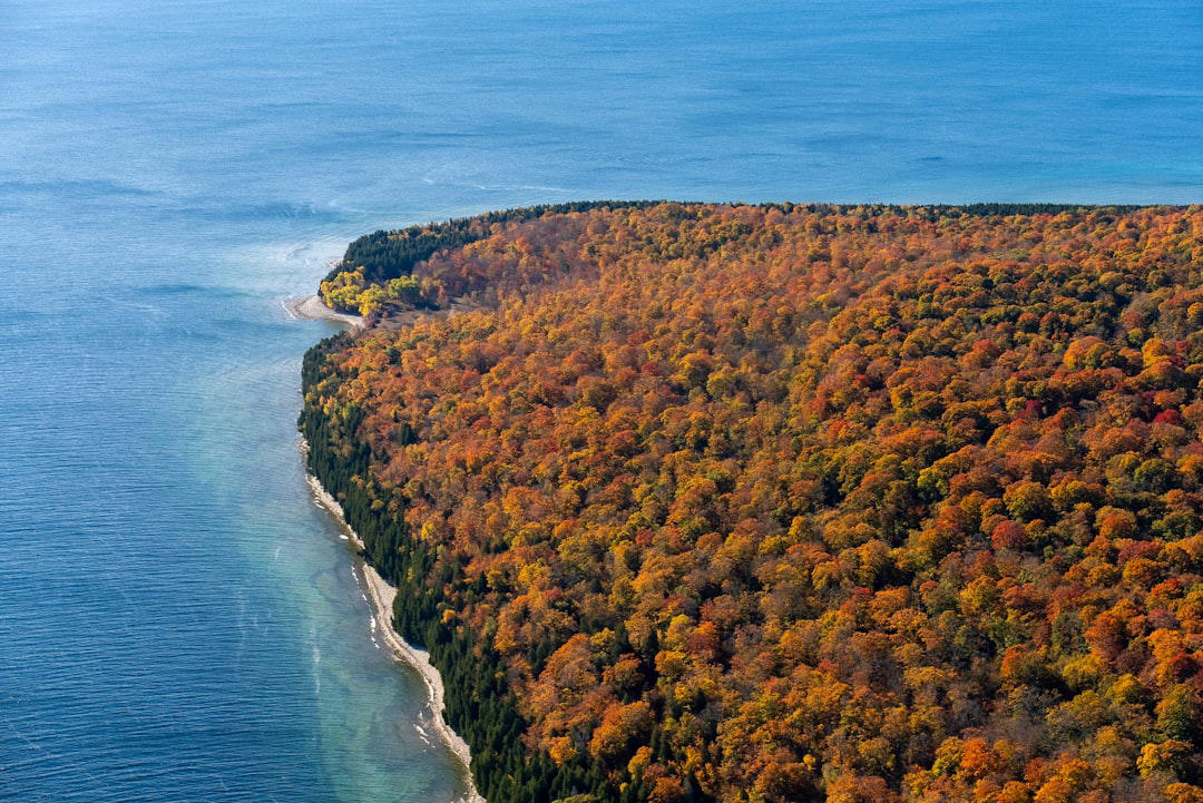 Dewitt, United States