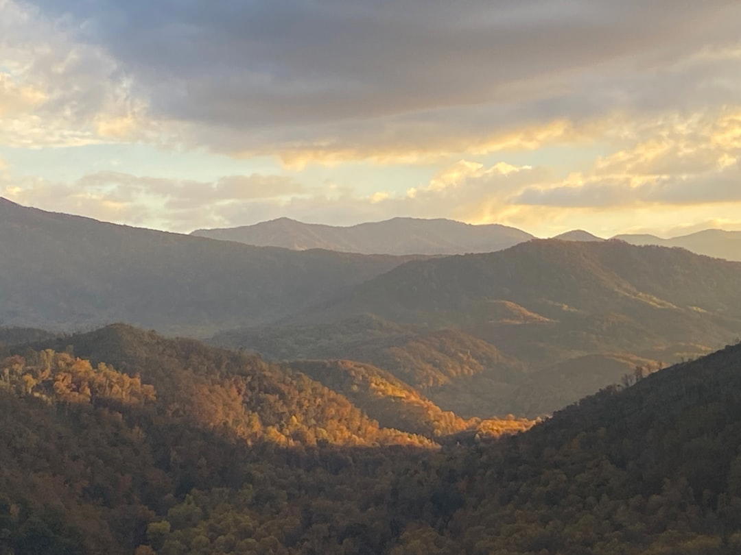 Buckhead, United States