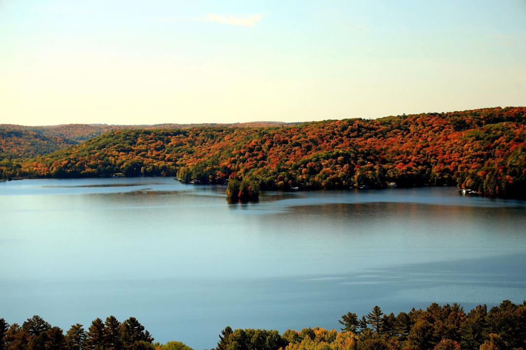 Hartland, United States
