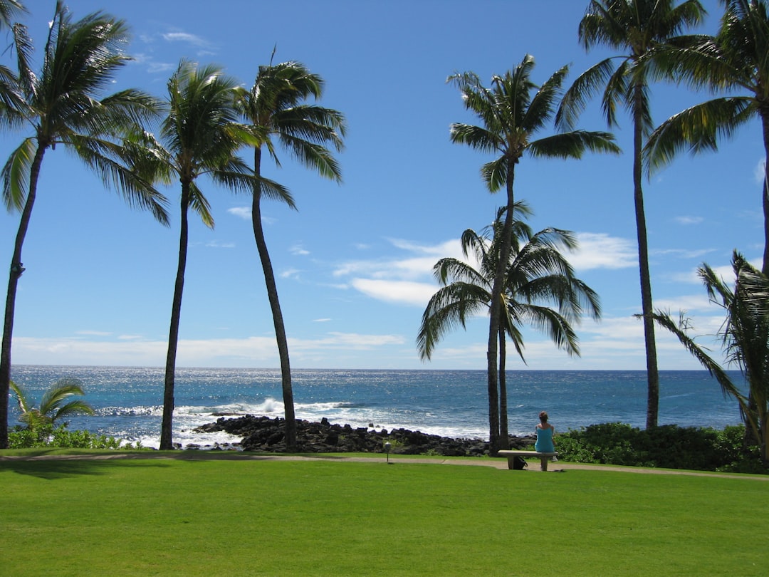 Kapaau, United States