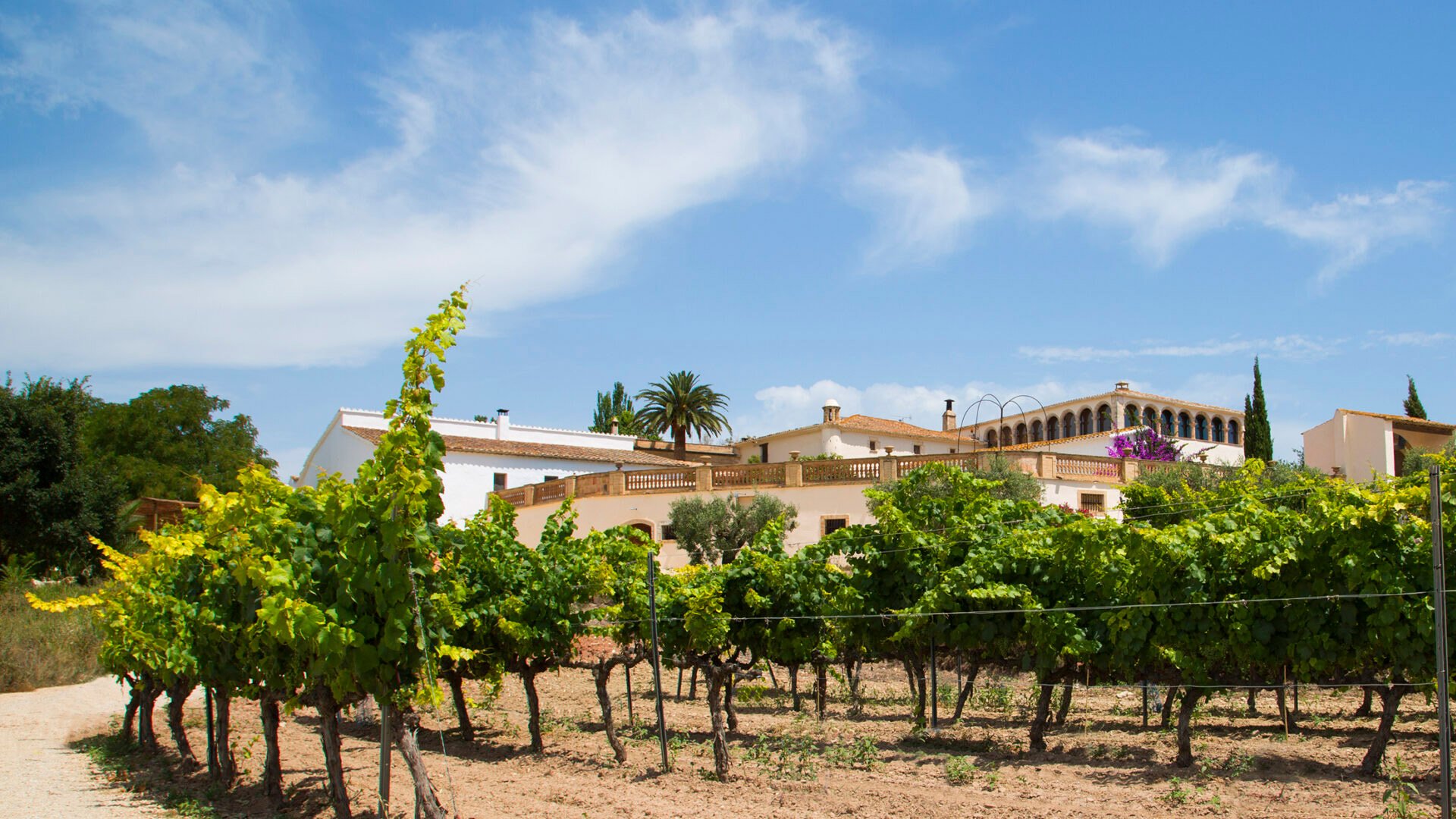 Can Ràfols dels Caus, Avinyonet Del Penedes, Spain