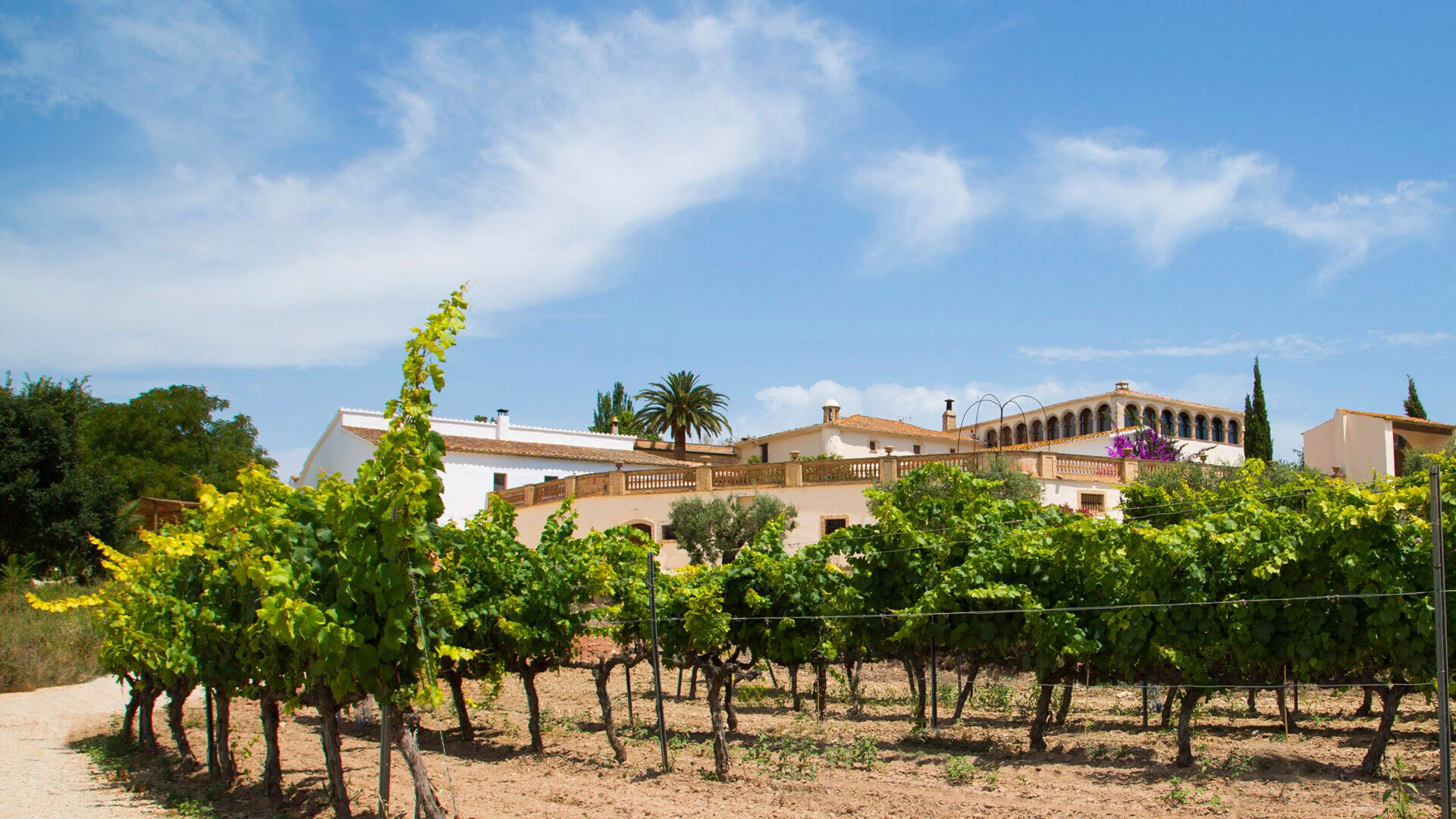 Can Ràfols dels Caus, Winery in Avinyonet Del Penedes