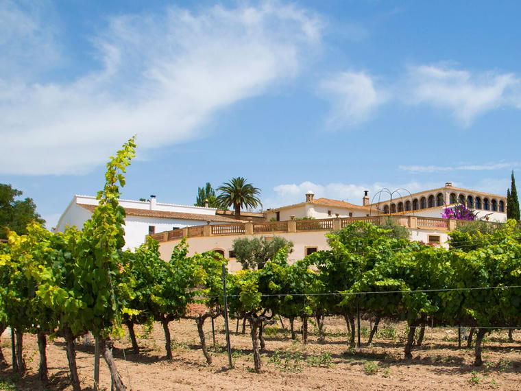 Can Ràfols dels Caus, Avinyonet Del Penedes, Spain