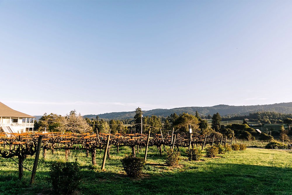 Handley Cellars