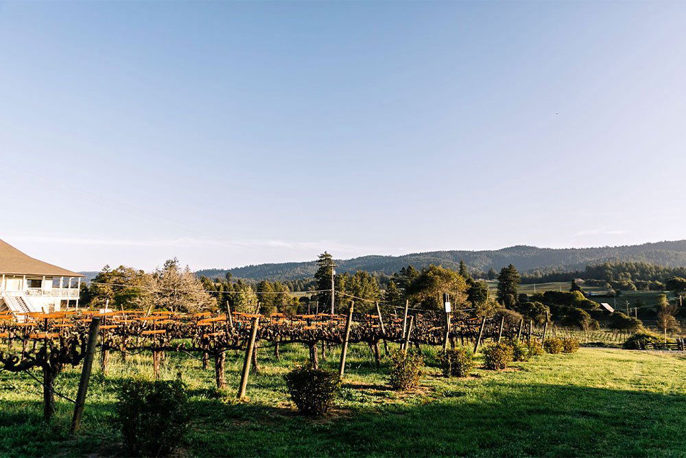Handley Cellars, Winery in Philo