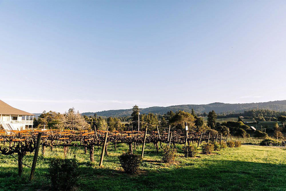 Handley Cellars winery in Philo