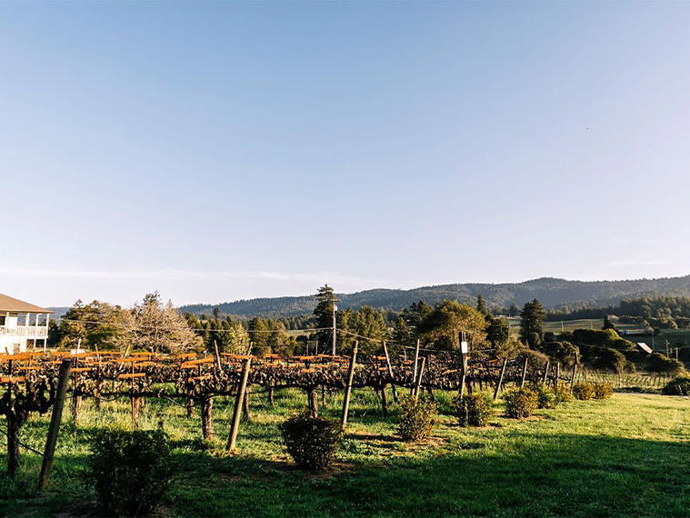 Handley Cellars, Philo, United States