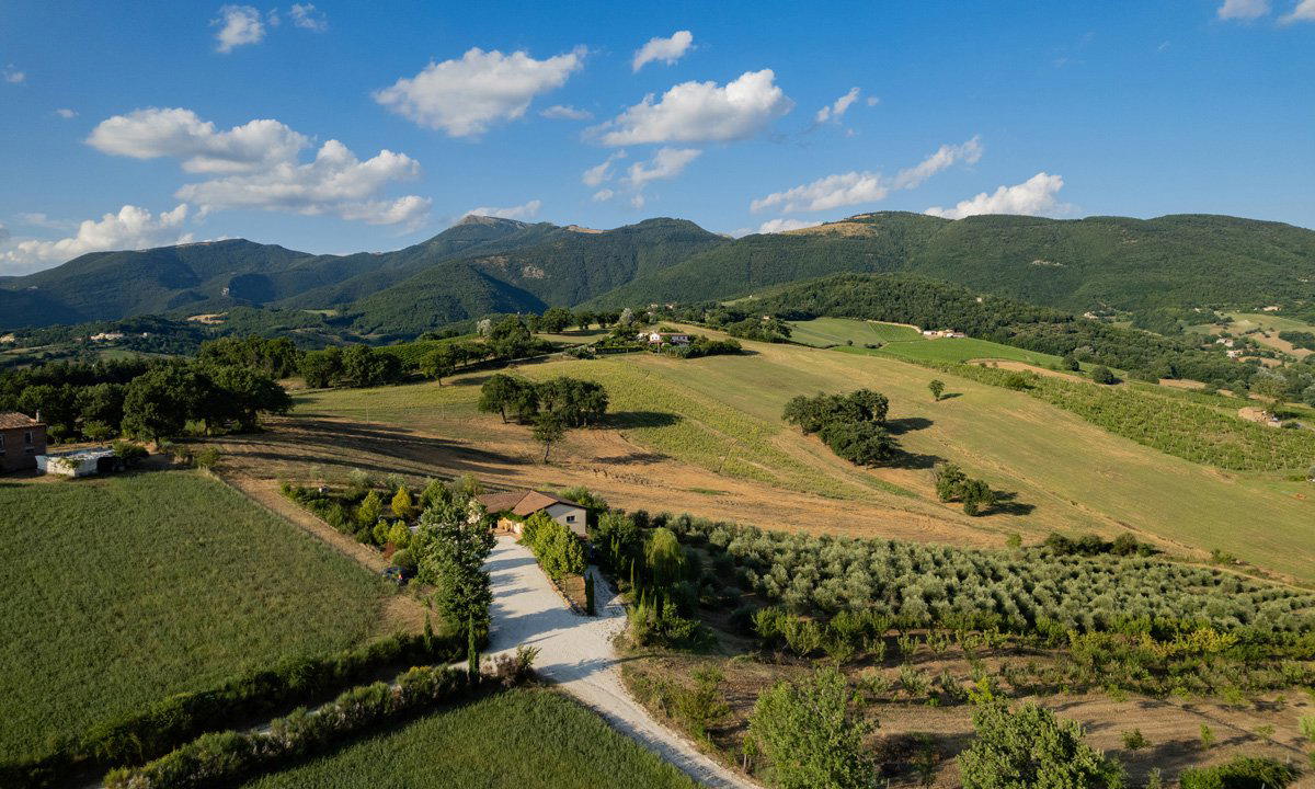 Le Cime Basse winery in Matelica