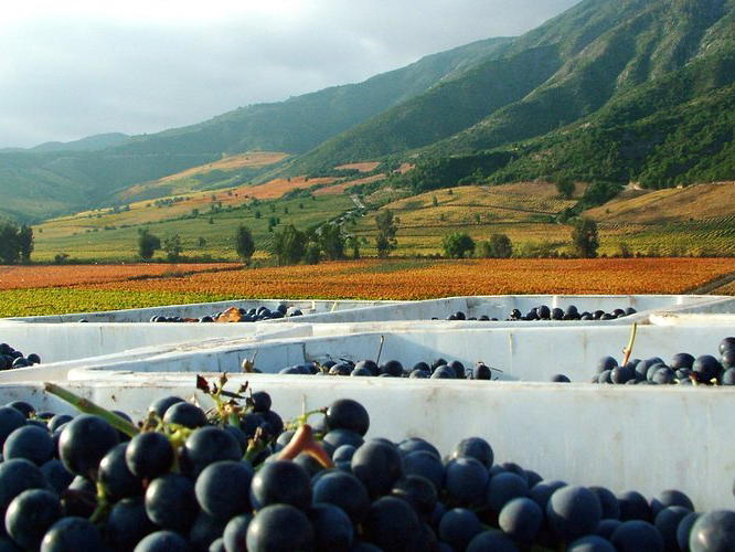 Viña Montes, Santa Cruz, Chile