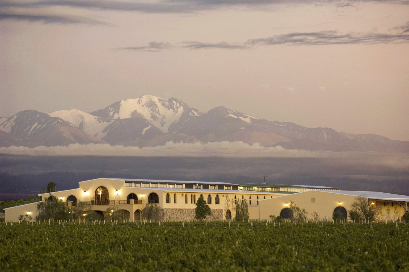 Bodegas Piedra Negra