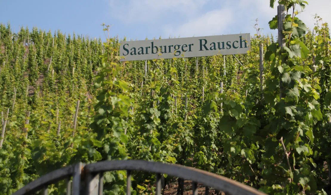 Weingut Forstmeister Geltz-Zilliken winery in Saarburg