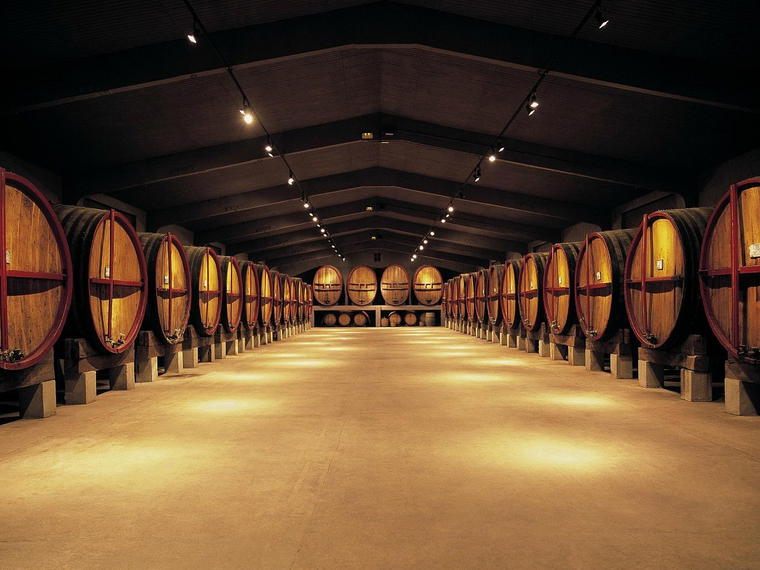 Bodegas Ramon Roqueta, Santa Maria D Horta D Avinyo, Spain