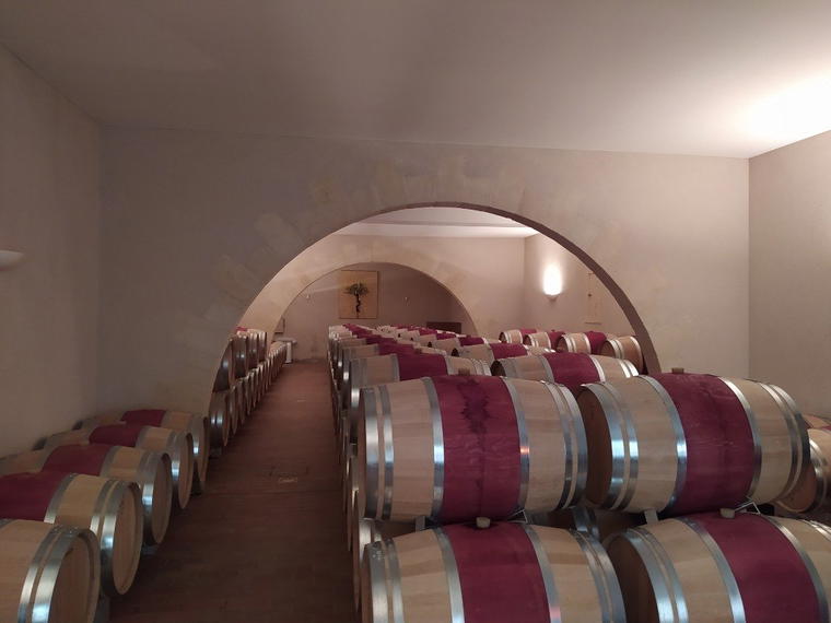 Château Grand Ormeau, Lalande De Pomerol, France