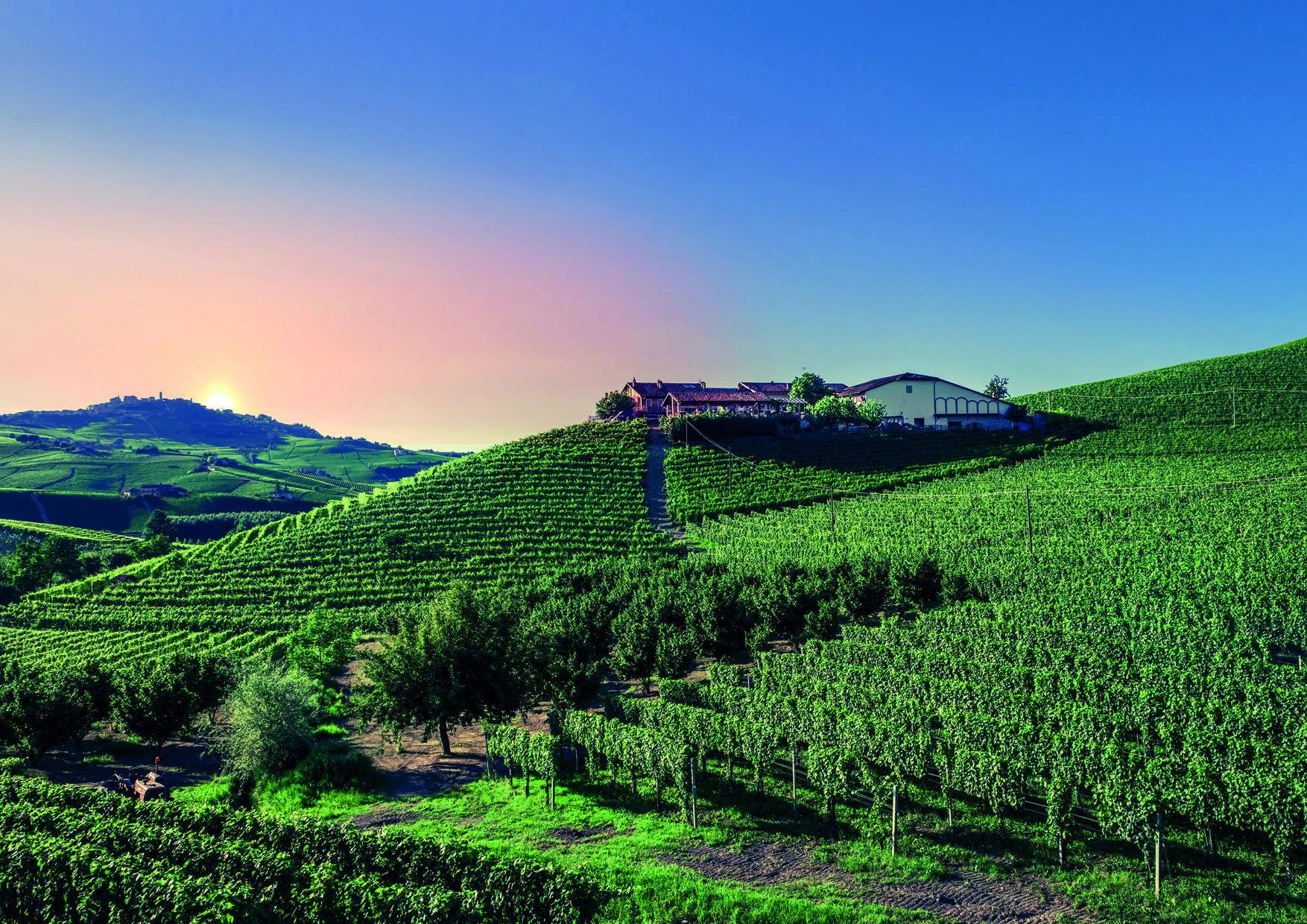 Franco Conterno winery in Monforte d'Alba