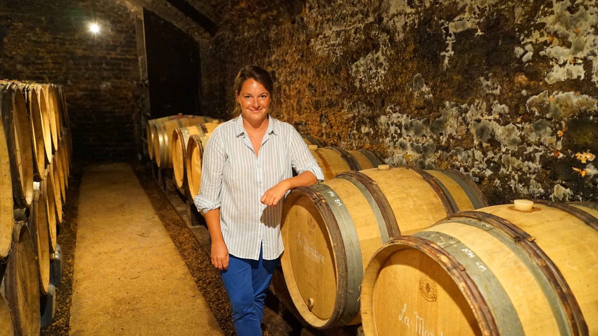 Domaine Marthe Henry winery in Meursault, France