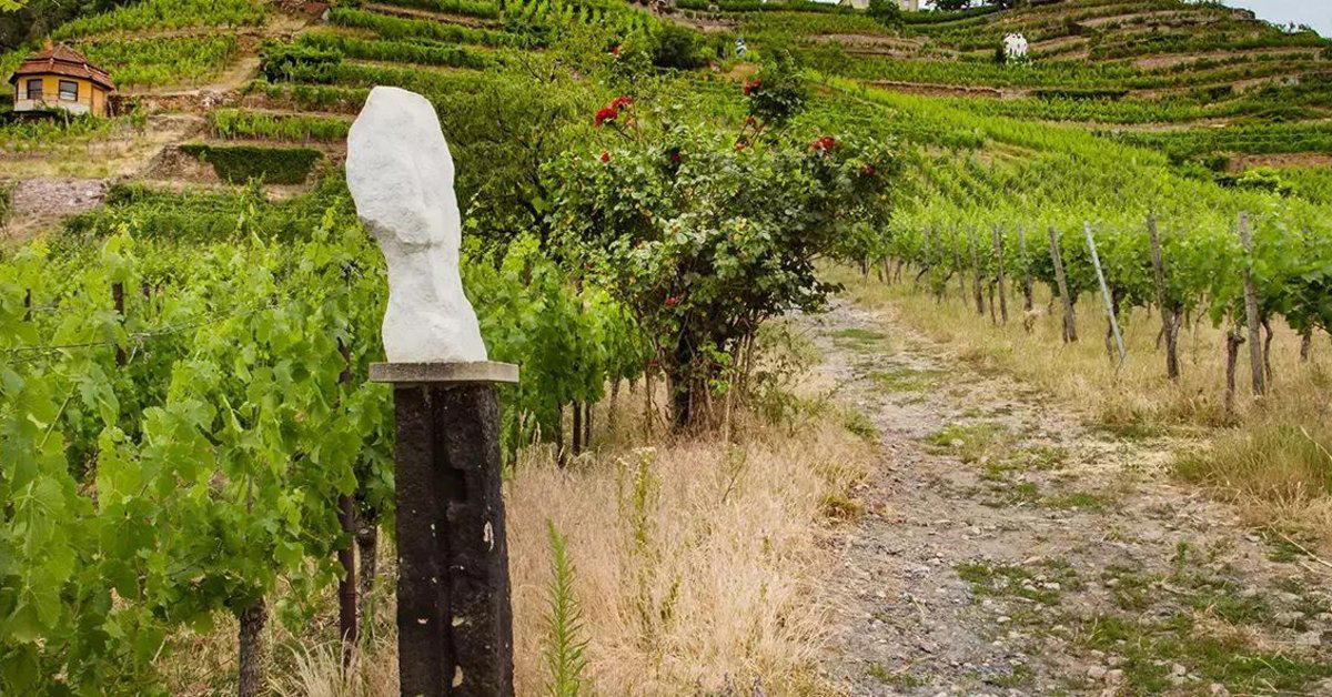 Weingut Drei Herren winery in Radebeul