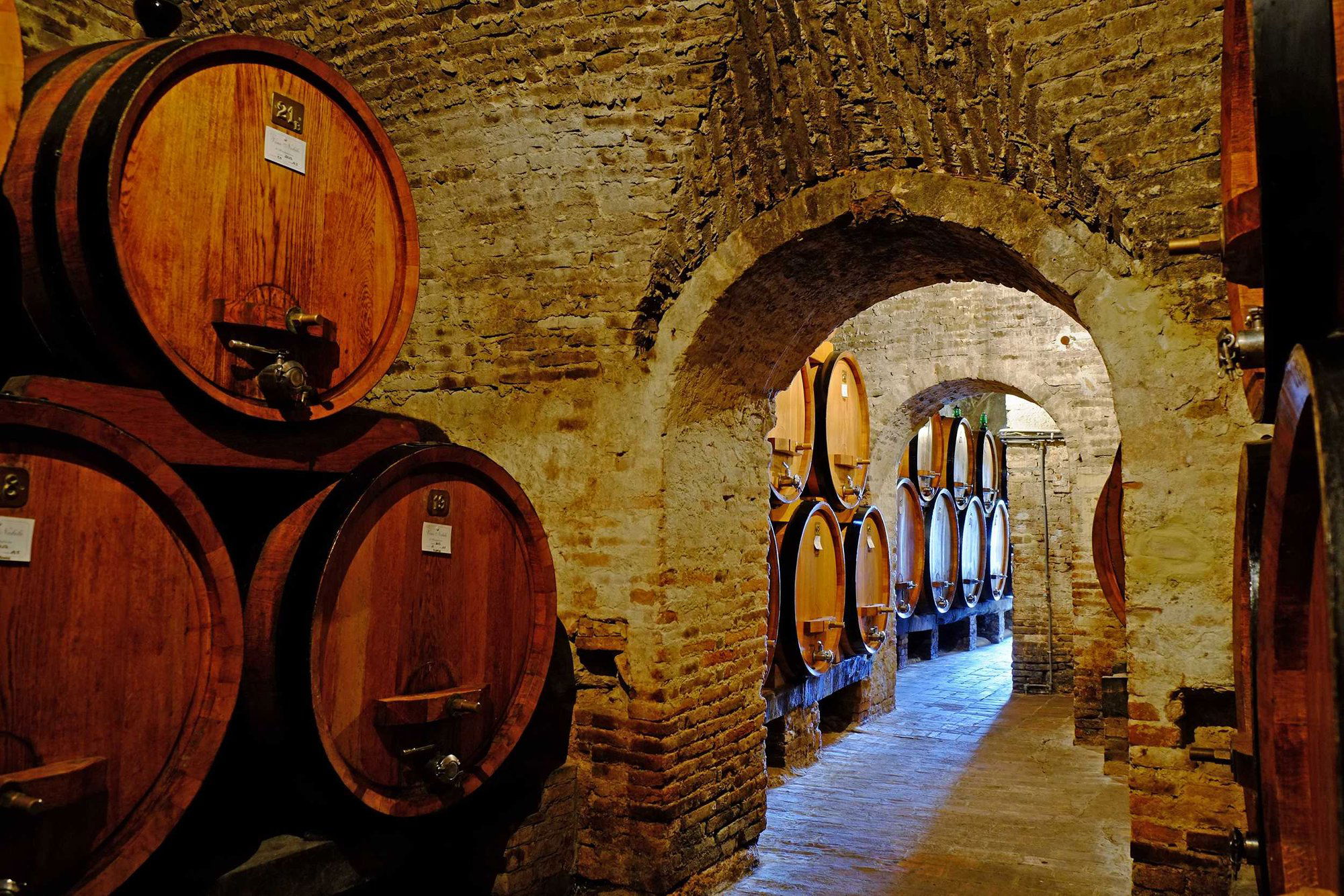 Contucci, Winery in Montepulciano