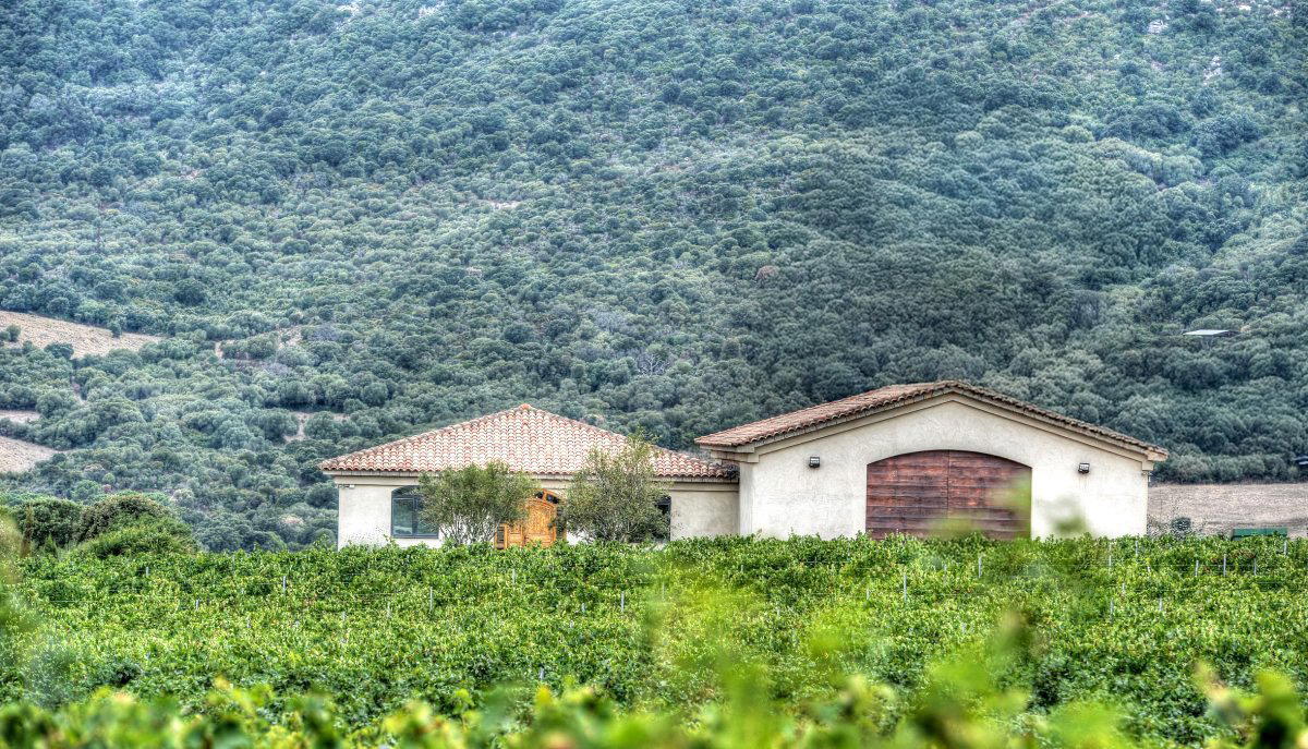 Clos Canarelli winery in Figari