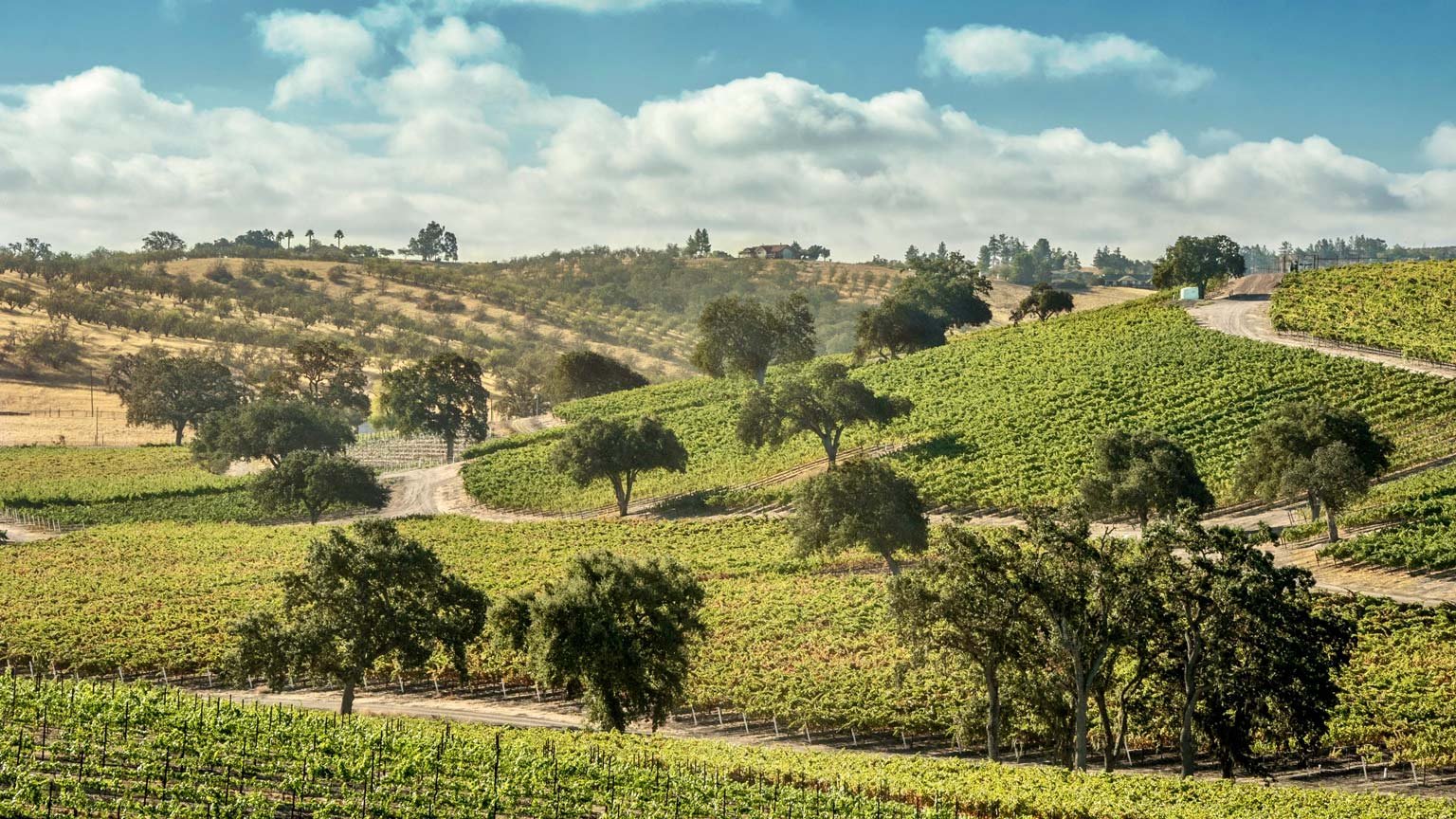 The Farm Winery