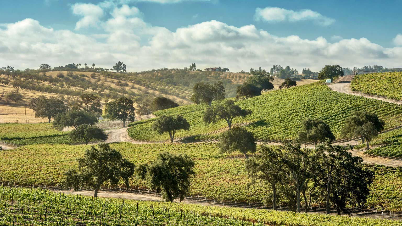 The Farm Winery winery in Paso Robles, United States