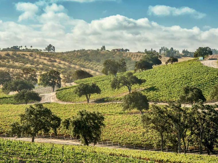 The Farm Winery, Paso Robles, United States