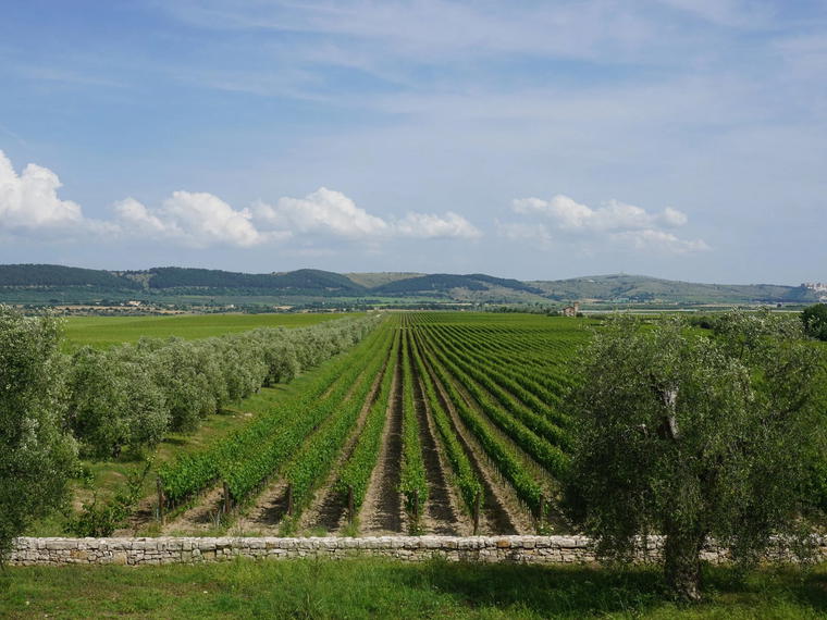 Antico Palmento, Manduria, Italy