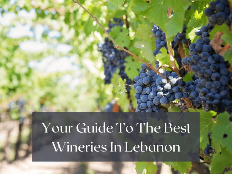 Aurora Winery, Rachkiddeh, Lebanon