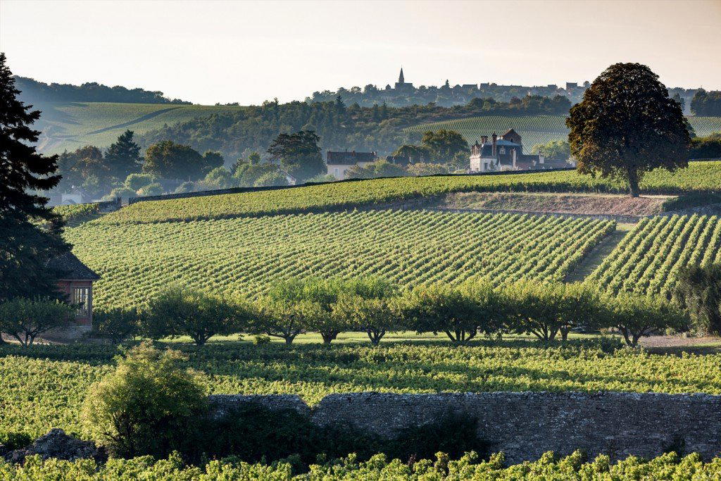 Domaine Jeannin-Naltet winery in Mercurey