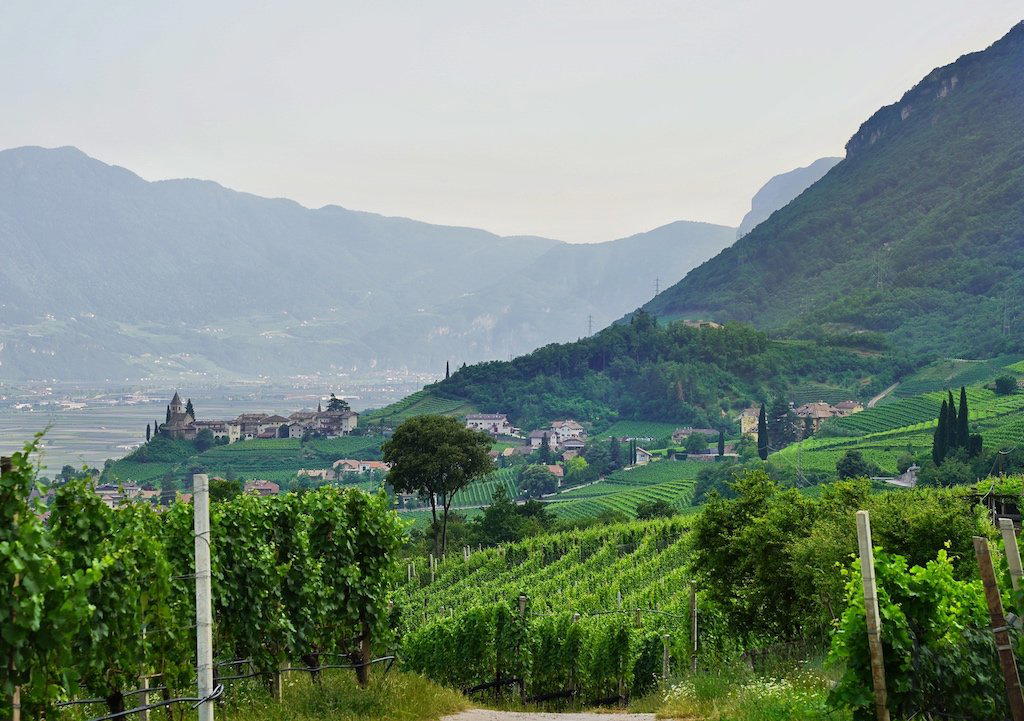 Kellerei Tramin winery in Tramin, Italy