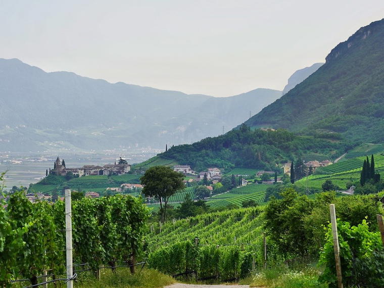 Kellerei Tramin, Tramin, Italy