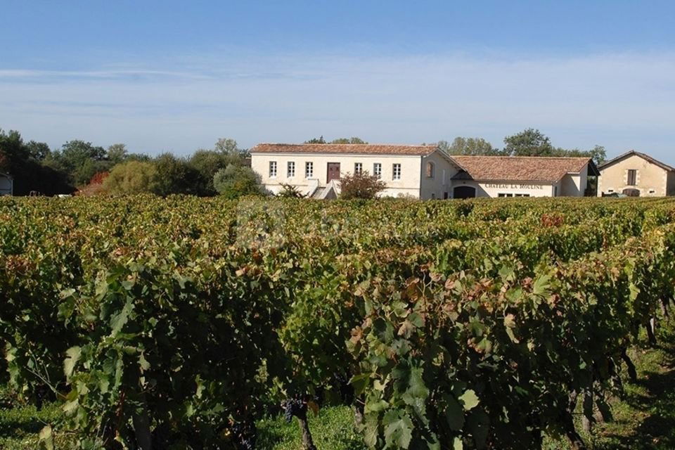 Château la Mouline, Winery in Moulis En Medoc