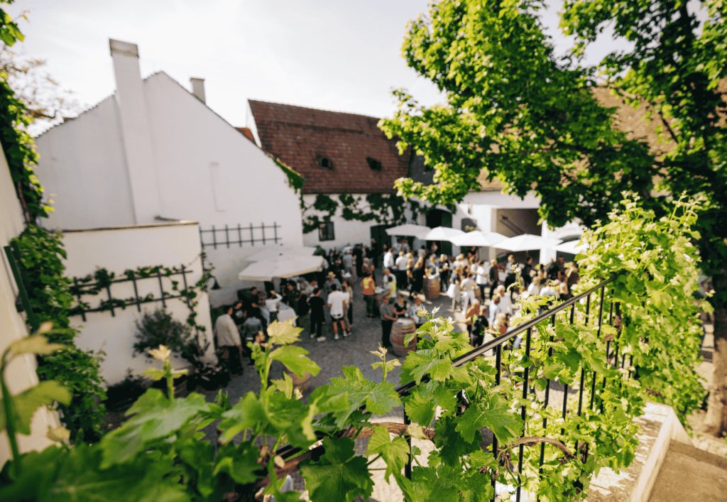 Bio Weingut Manfred Gruber