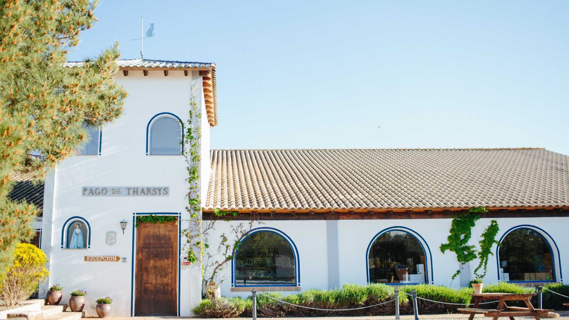 Pago de Tharsys winery in Requena