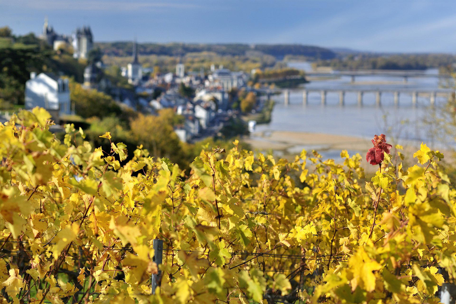 Gratien et Meyer, Saumur, France