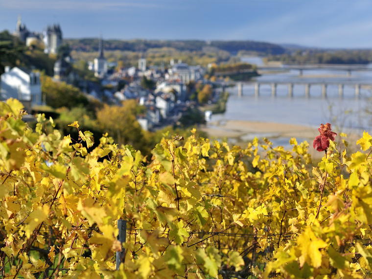 Gratien et Meyer, Saumur, France