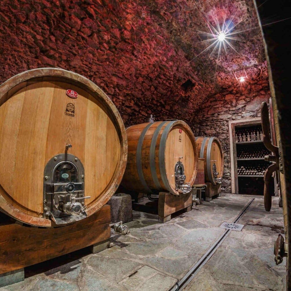 Balgera Vini