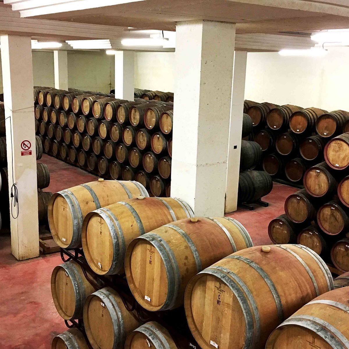 Bodegas Luzón