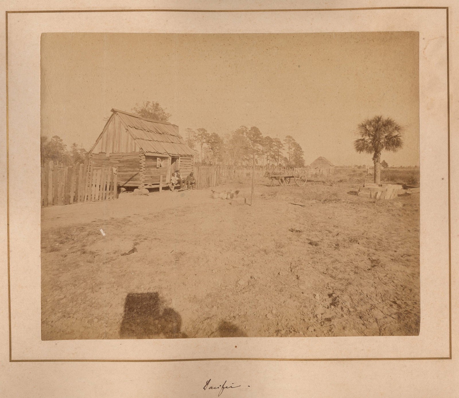 STEREOGRAPH
